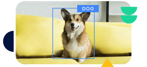 2_Object-Localization