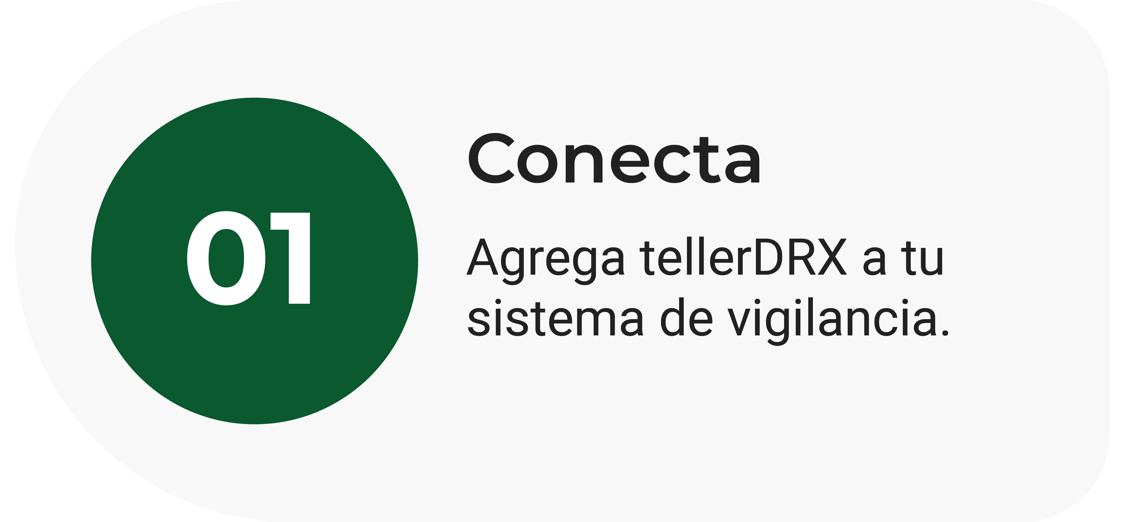 Conecta Conecta